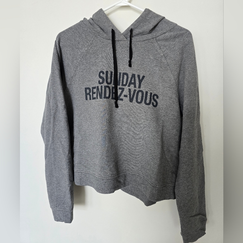 Aritzia Sunday Best Gray Hoodie